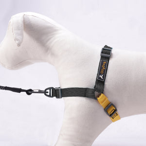 Essential Harness