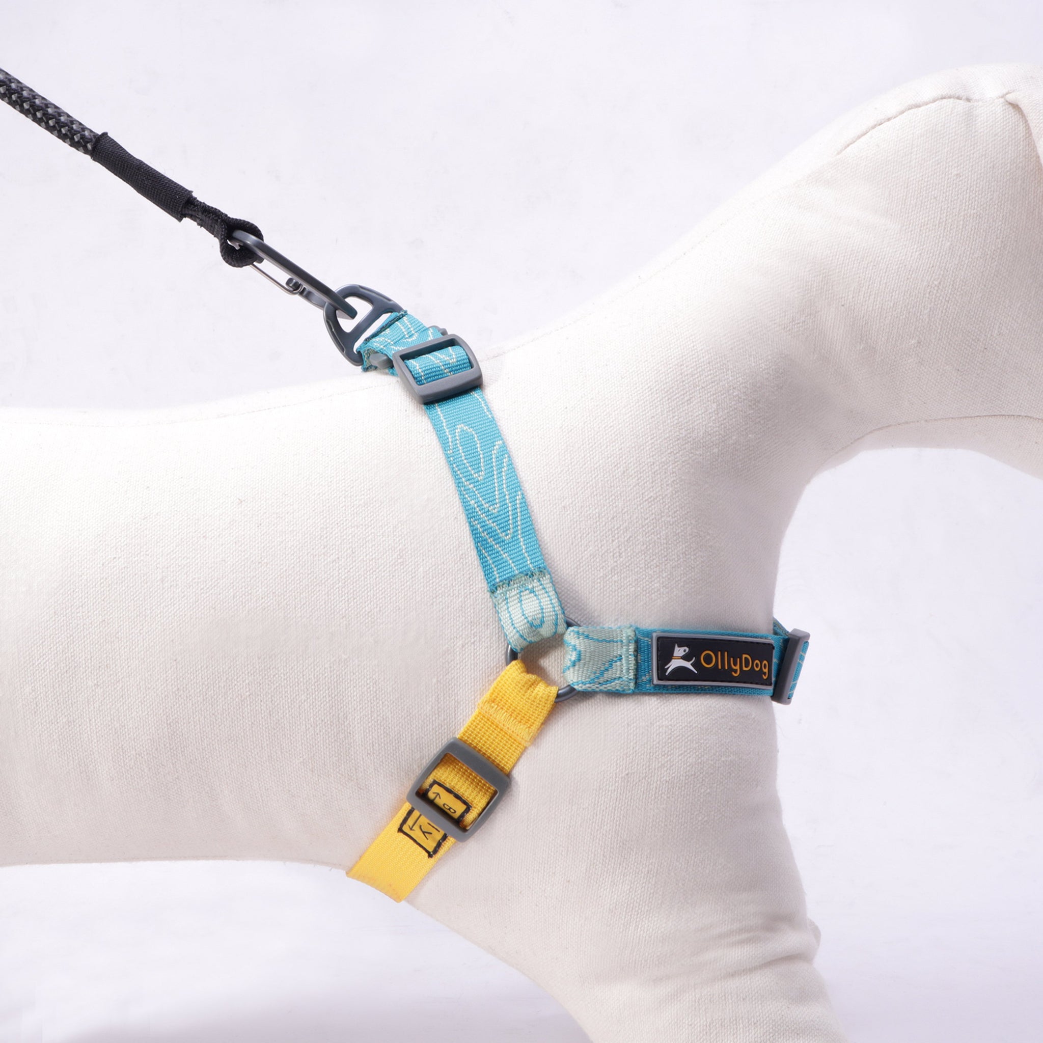 Essential Harness