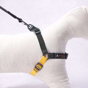 Essential Harness
