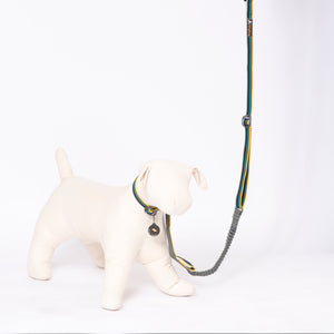 Urban Journey Reflective Spring Leash- Save 20% at Checkout
