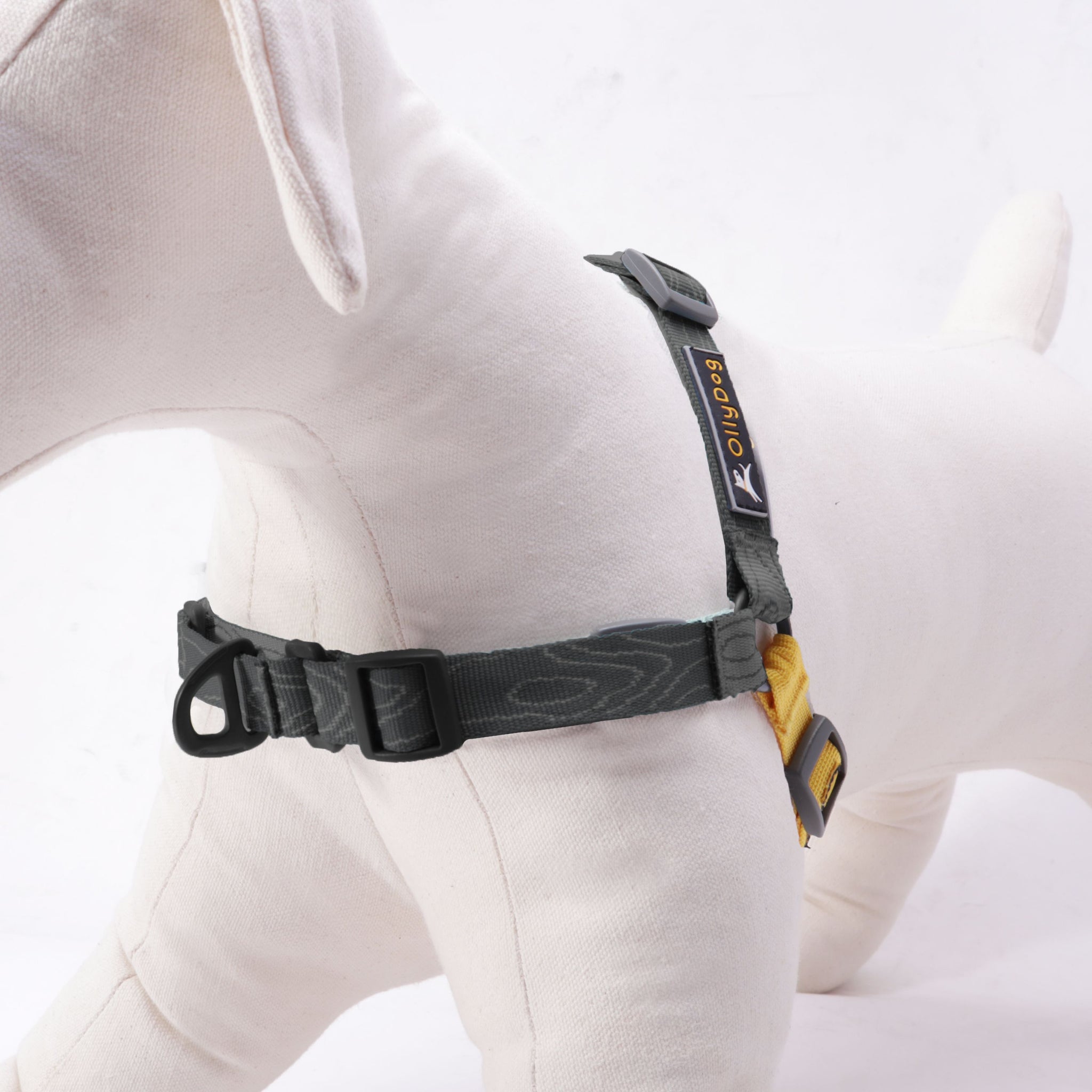 Essential Harness