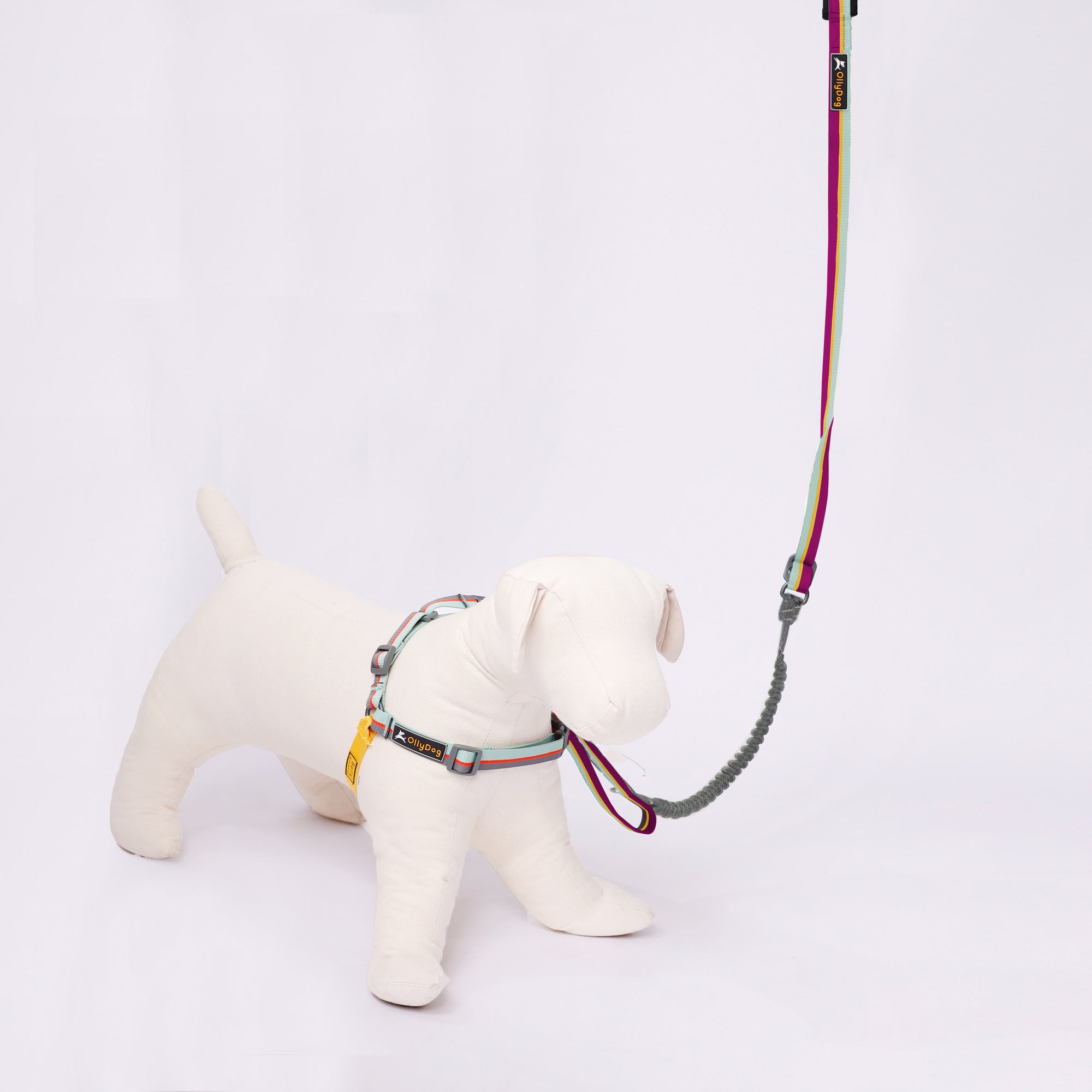 Spring leash clearance