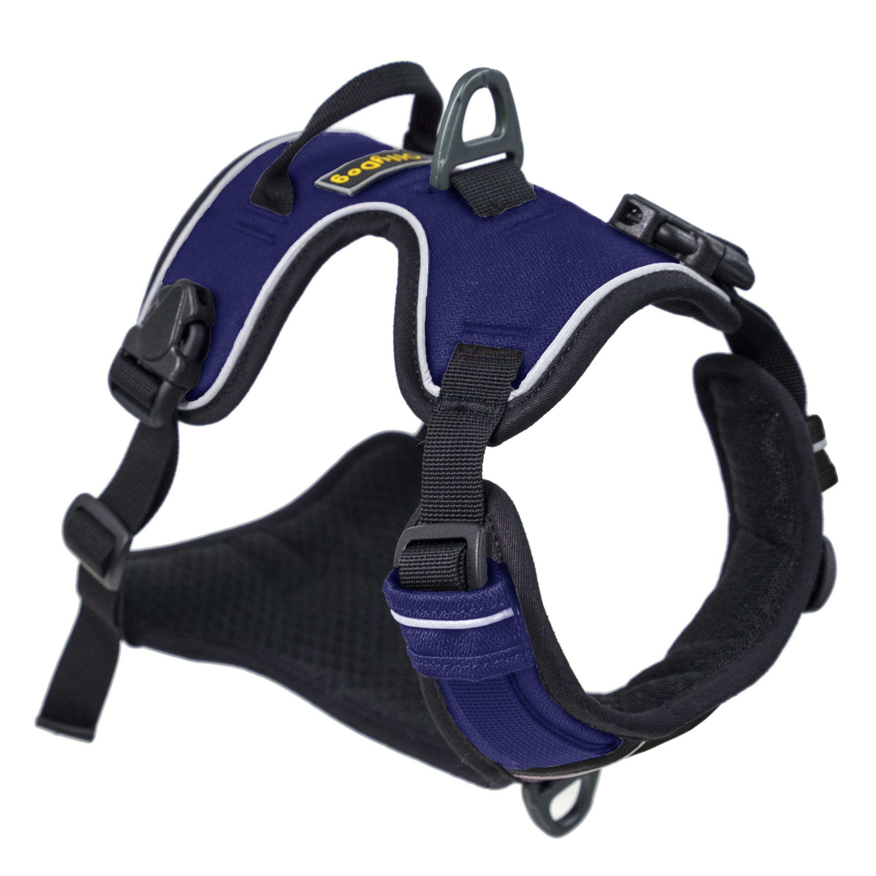 Front view of the OllyDog Alpine Reflective Harness in atlantic blue, featuring two leash attachment points, adjustable plastic buckles, reflective piping, and breathable padded lining made from recycled plastic bottles for all-day comfort. #color_atlantic