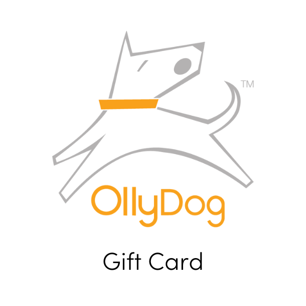 A gift card from OllyDog with a logo depicting a stylized white dog on a orange and white background, indicating it's a gift card for services.