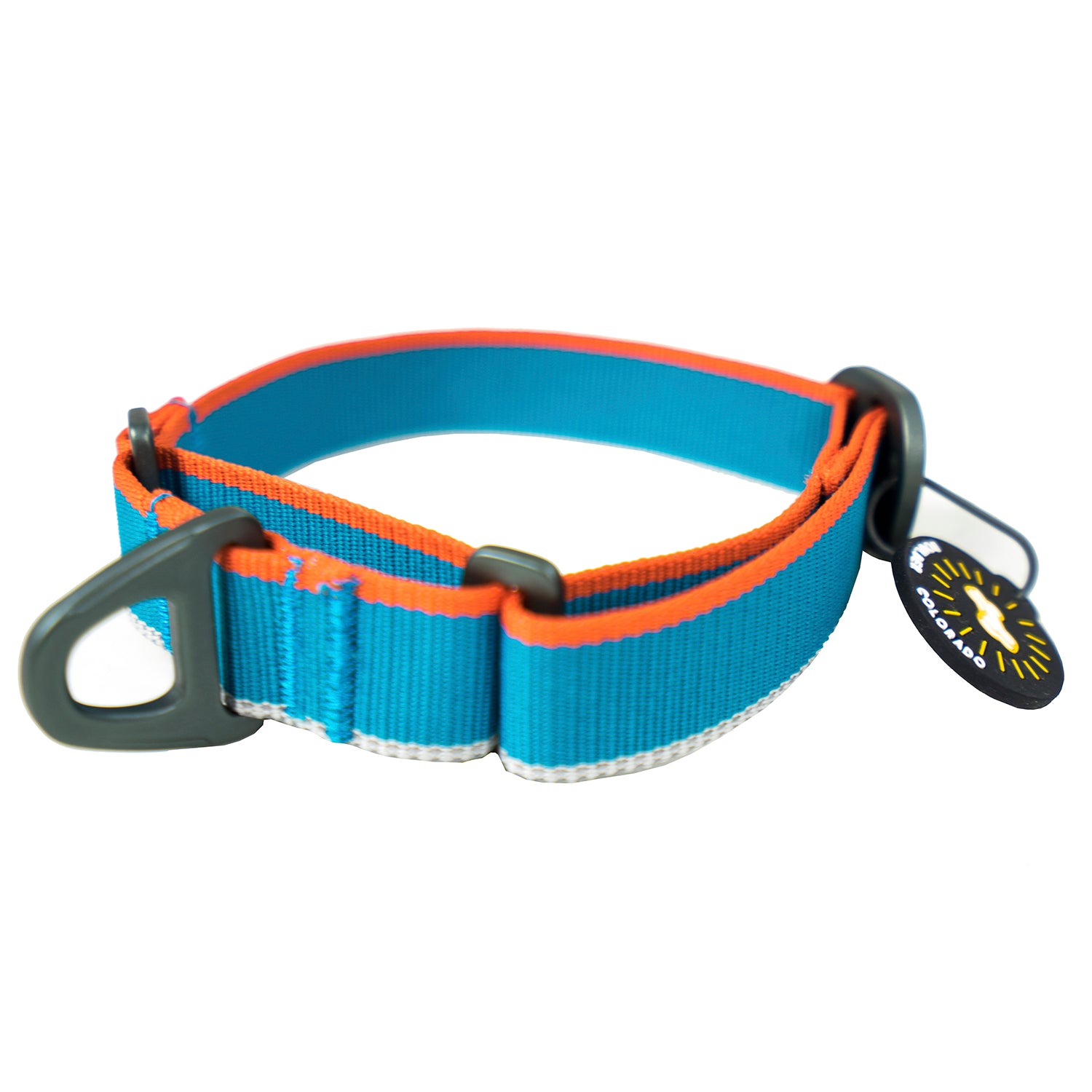 Front studio view of the OllyDog Martingale Mesa Collar in air blue color, highlighting its washable poly webbing, slip-out design, secure aluminum D-ring, and attached Boulder Colorado tag. #color_air blue