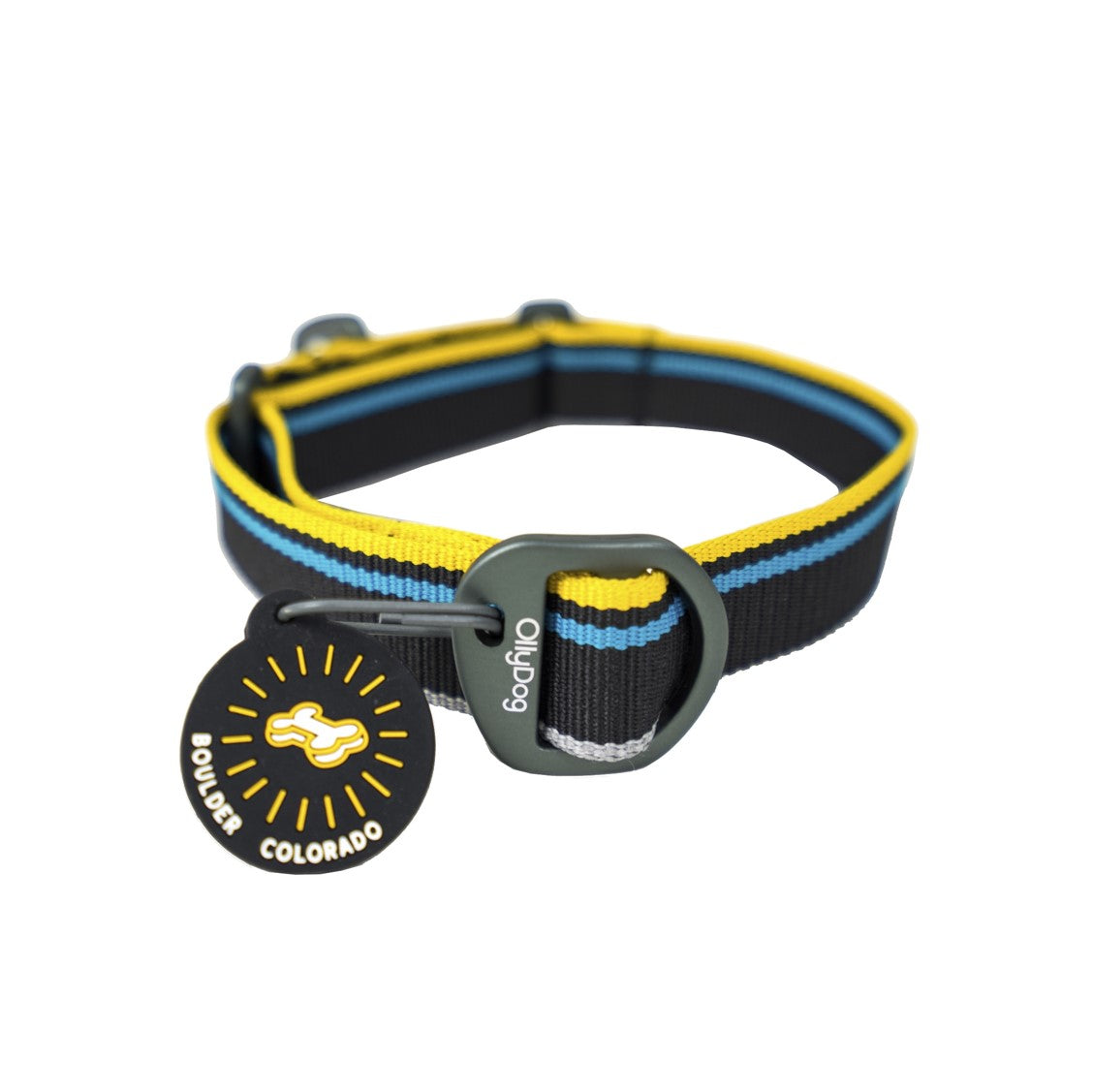 Side studio view of the OllyDog Martingale Mesa Collar in anthracite color, featuring black webbing with yellow and blue stripes, reflective thread, a secure aluminum D-ring, and an attached Boulder Colorado tag. #color_anthracite