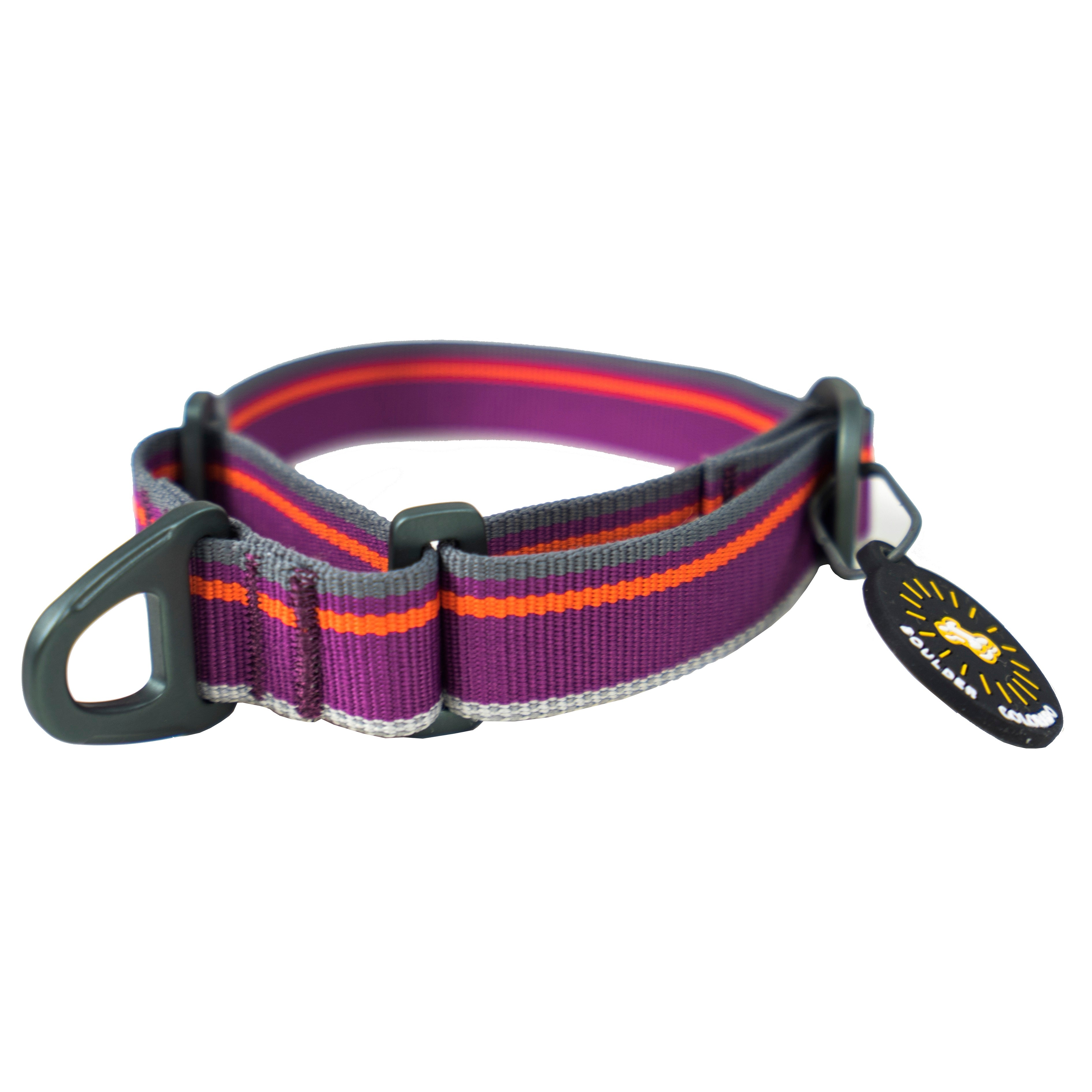 Side profile studio view of the OllyDog Martingale Mesa Collar in wild aster color, featuring purple and orange striped webbing with a reflective thread, aluminum D-ring, and an attached Boulder Colorado tag. #color_wild aster