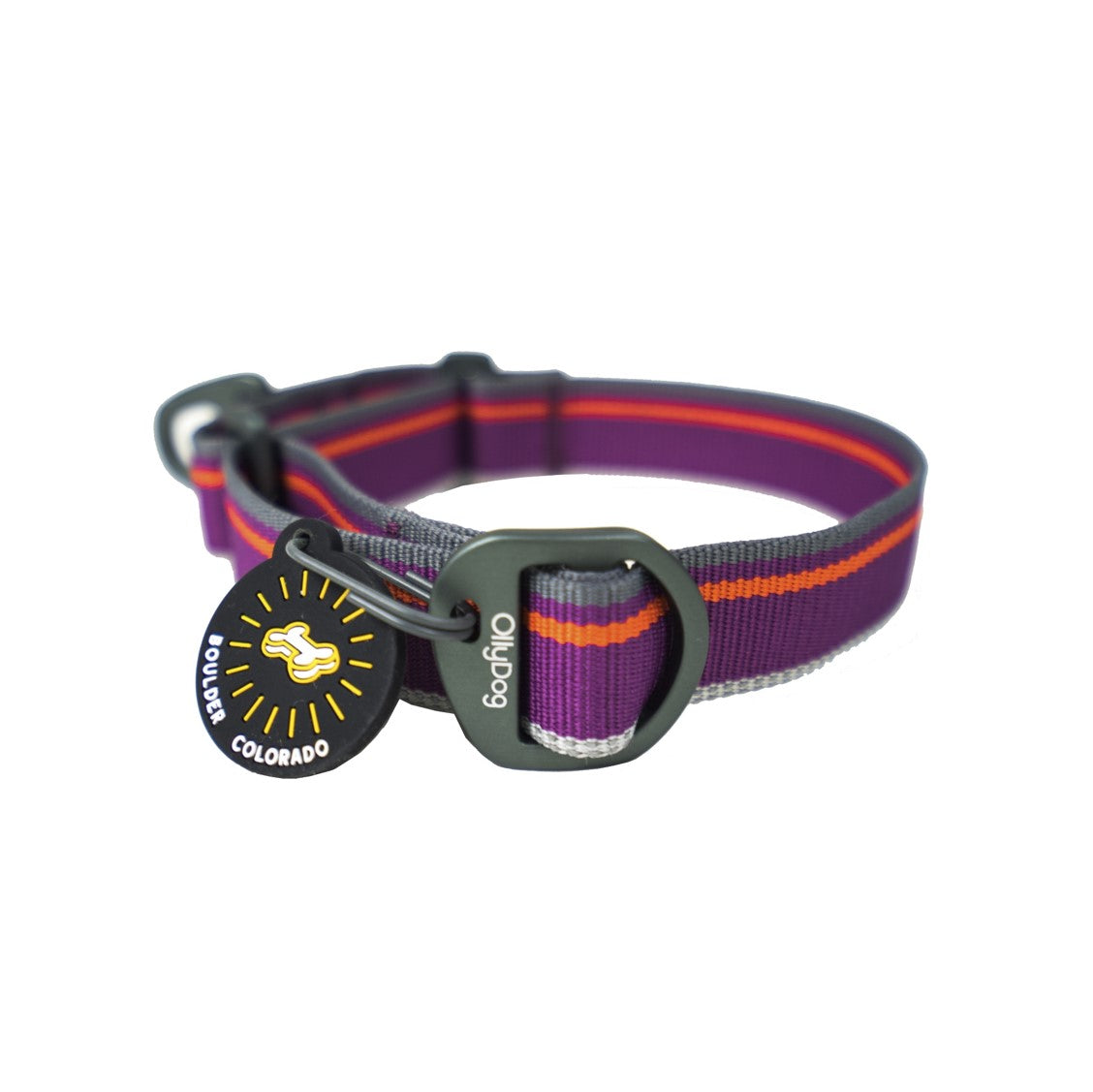 Side studio view of the OllyDog Martingale Mesa Collar in wild aster color, featuring purple and orange striped poly webbing, a secure aluminum D-ring, slip-out training design, and an attached Boulder Colorado tag. #color_wild aster