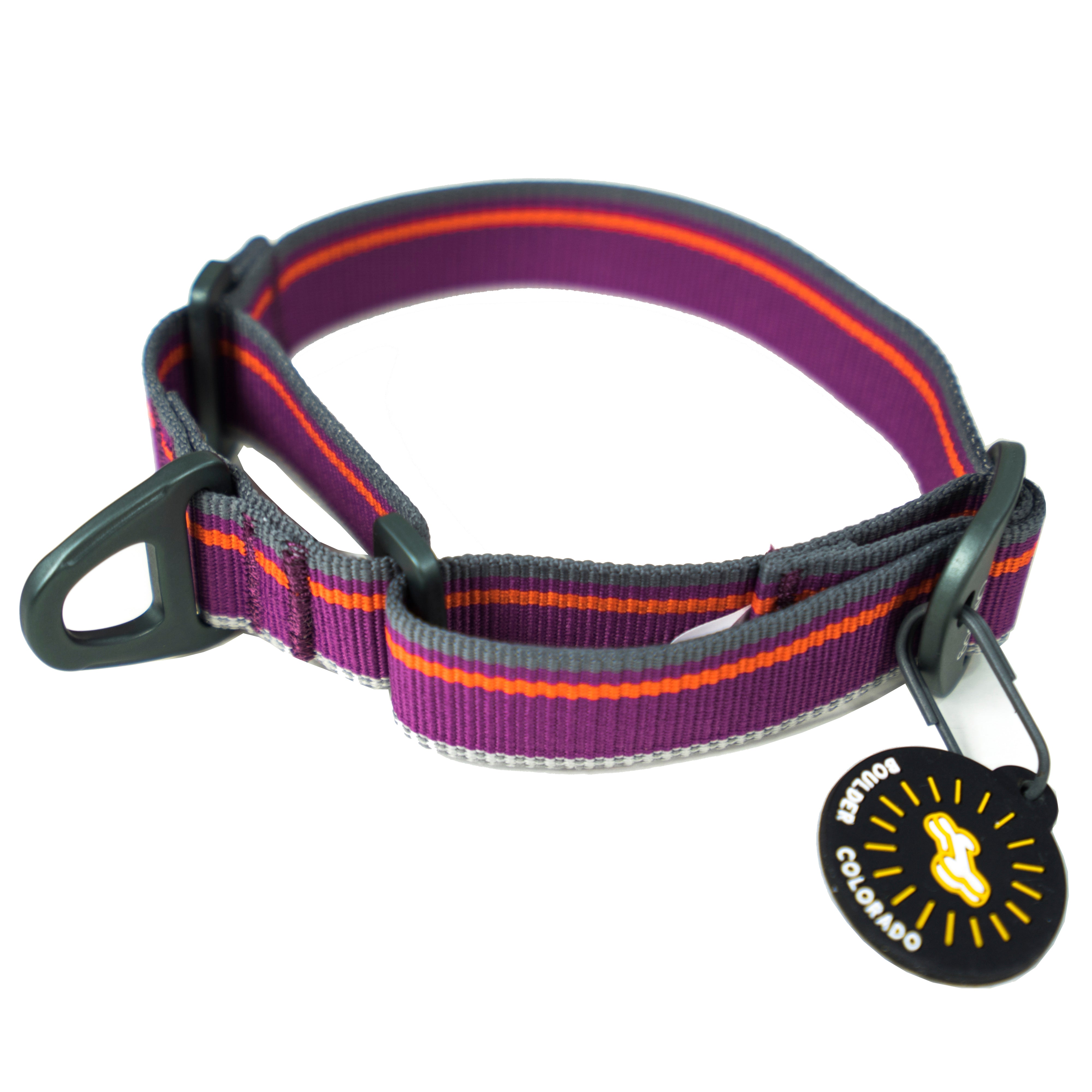 Side studio view of the OllyDog Martingale Mesa Collar in wild aster color, featuring purple and orange striped webbing with a reflective thread, a slip-out training design, secure aluminum D-ring, and an attached Boulder Colorado tag. #color_wild aster
