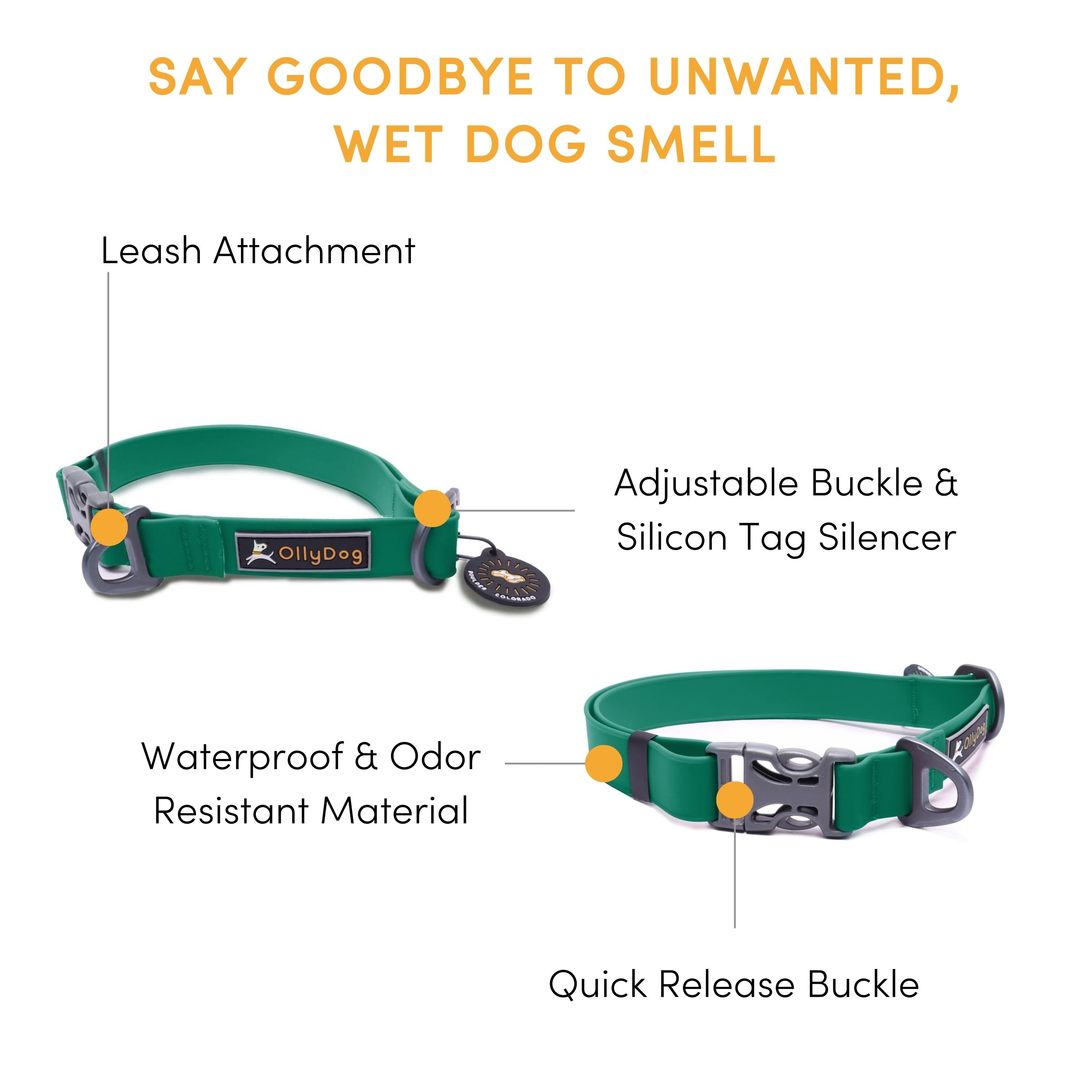 Infographic banner detailing features of the OllyDog Tilden Waterproof Collar in teal color, highlighting the leash attachment, adjustable buckle, silicon tag silencer, waterproof and odor-resistant material, and quick-release plastic side buckle. #color_teal